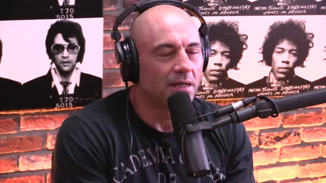 Joe Rogan Experience #963 - Michael Malice