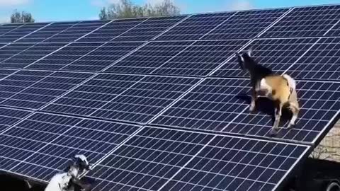 Eco friendly system to clean your solar panel