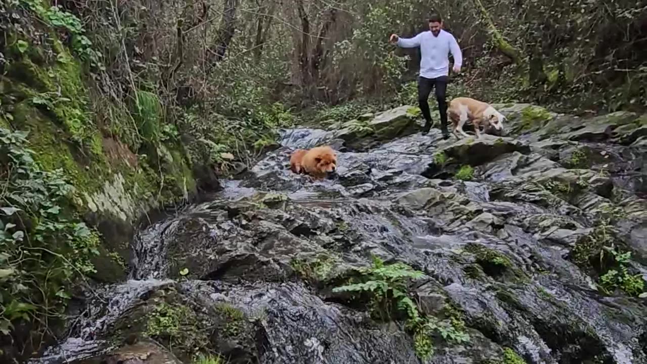 Triple Slip Water Crossing