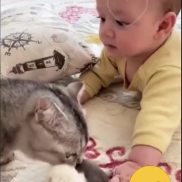 Why Pets and Babies Are Perfect Together