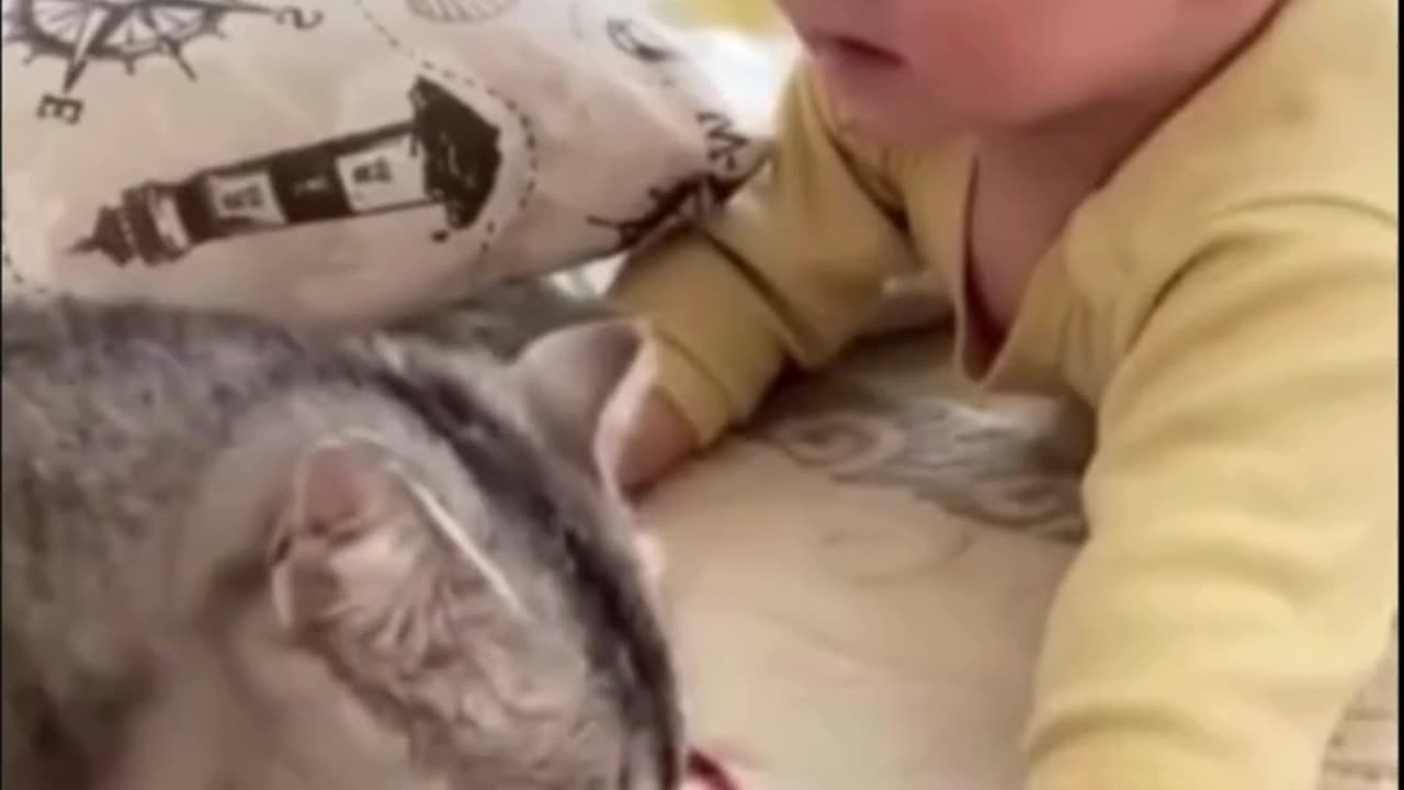 Why Pets and Babies Are Perfect Together