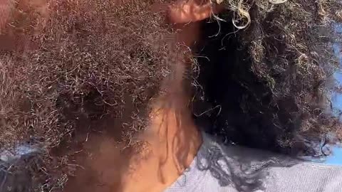 Eating Sandwich outside Live with Rock Mercury