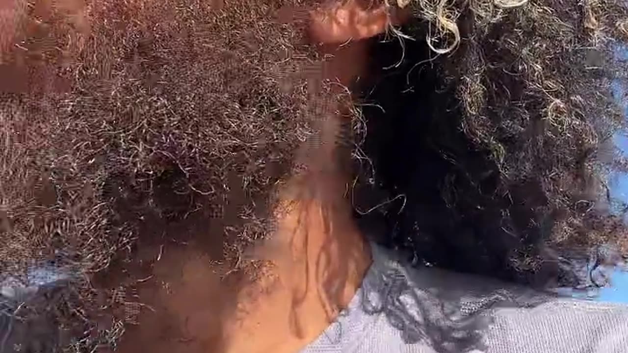 Eating Sandwich outside Live with Rock Mercury