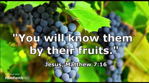 YOU WILL KNOW THEM BY THEIR FRUITS( Not by what they say but what they do)