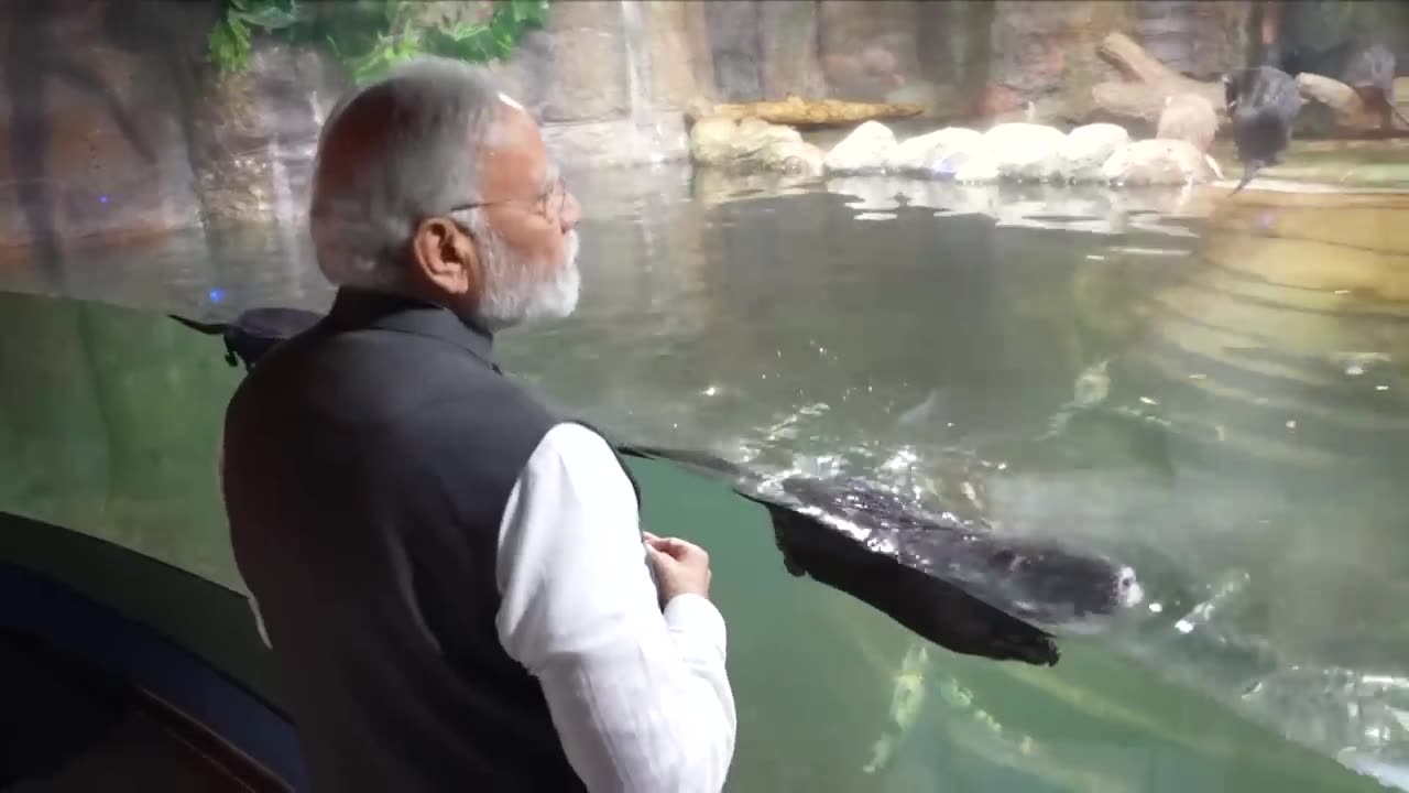 Captivating Aquatic Gallery _ PM Modi witnesses marine marvels at Gujarat Science City.mp4