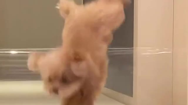 How to get over this hurdle？