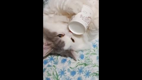 He wants to keep holding the cup