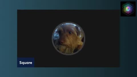 Archive Square Work Media Live solo stream explaining Nods.