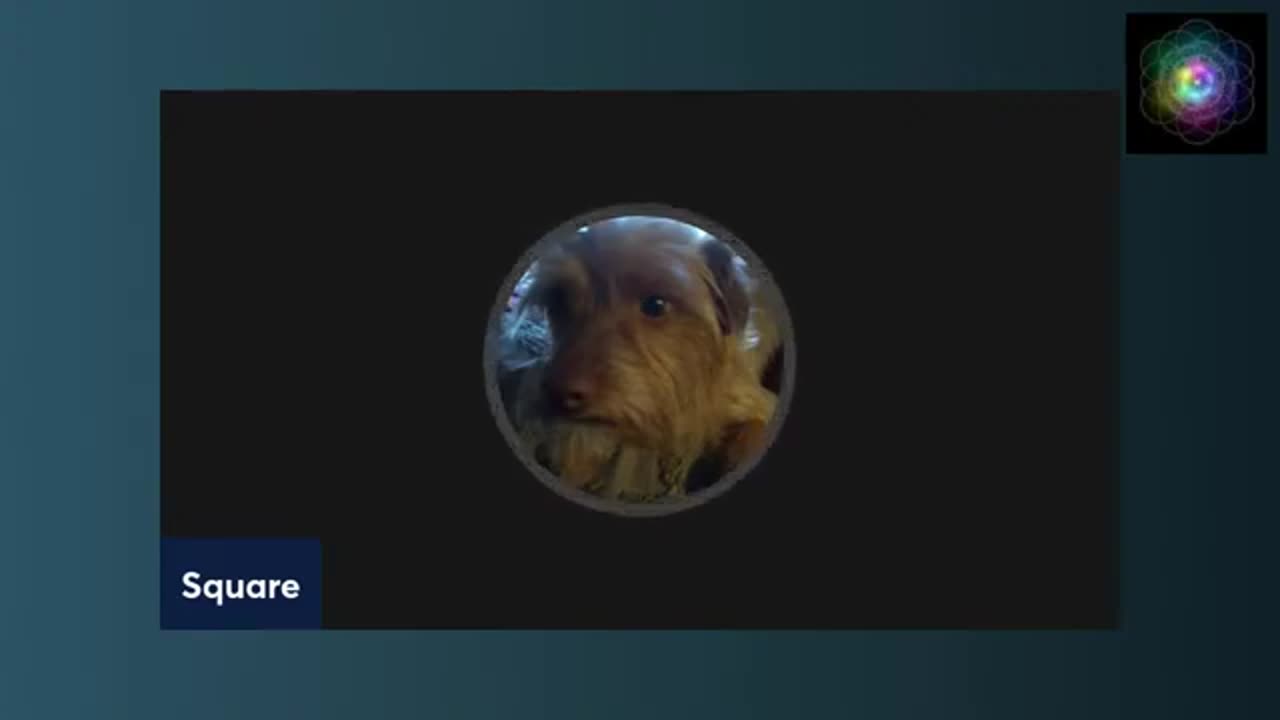 Archive Square Work Media Live solo stream explaining Nods.