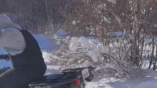 Guy Hits His Head on Garage Door