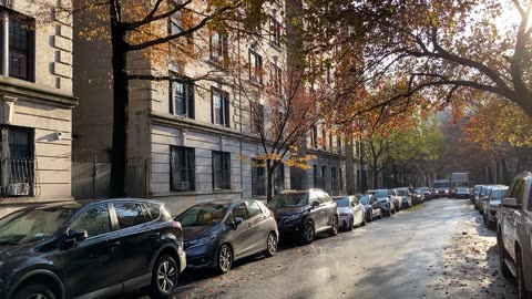 Hamilton Terrace (Manhattan, 2021)