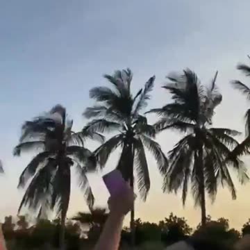 Gender party gone wrong