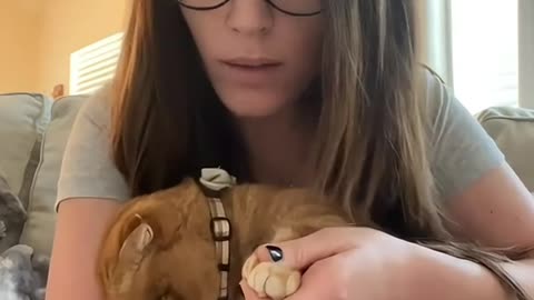 Cats funny moments