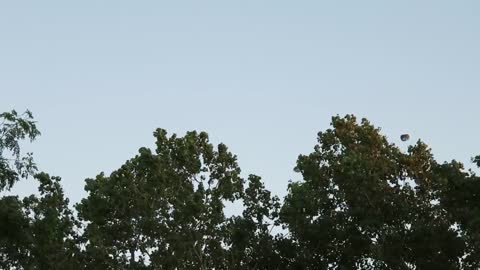 C-130 parachute jump