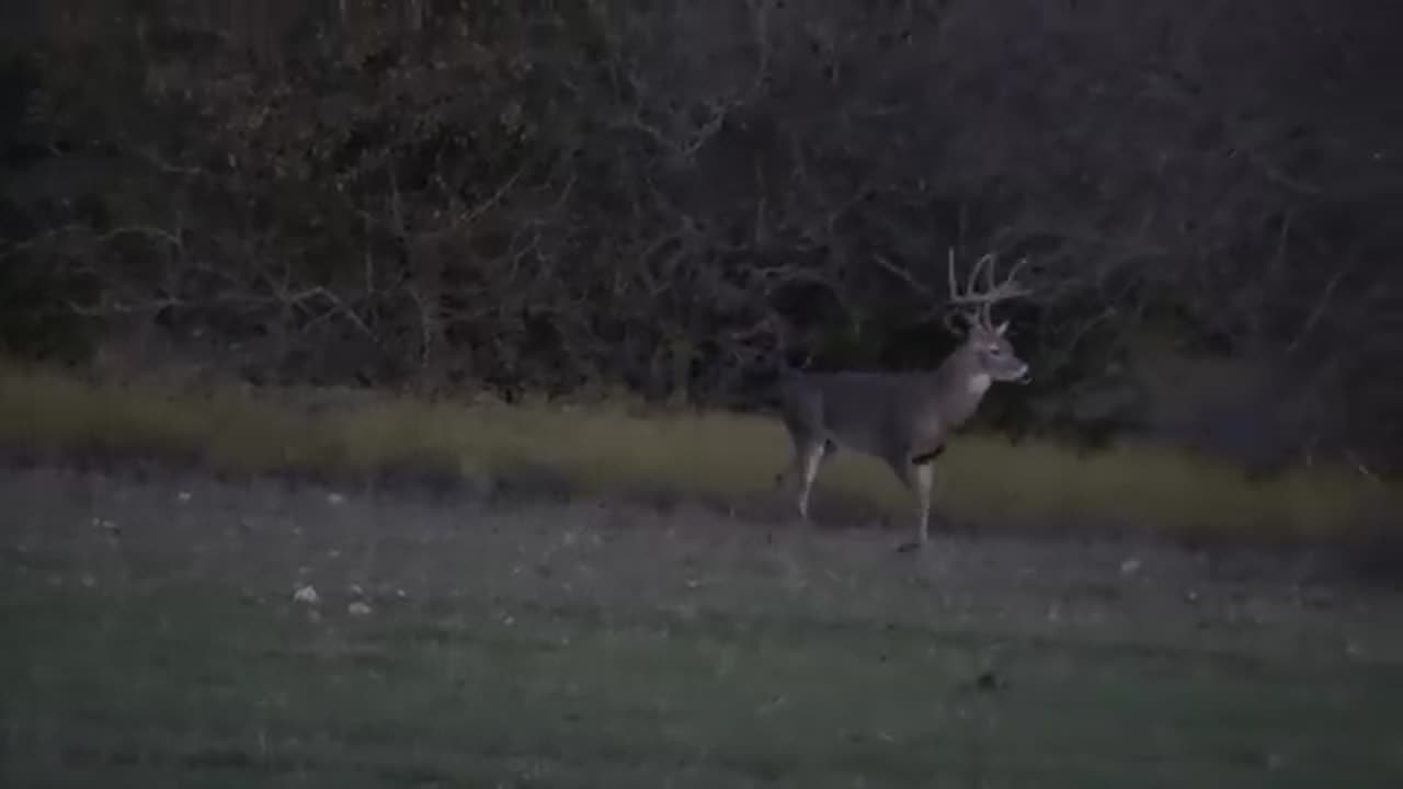 Cooking Whitetail Venison 6 Hours after Hunt- Too Soon