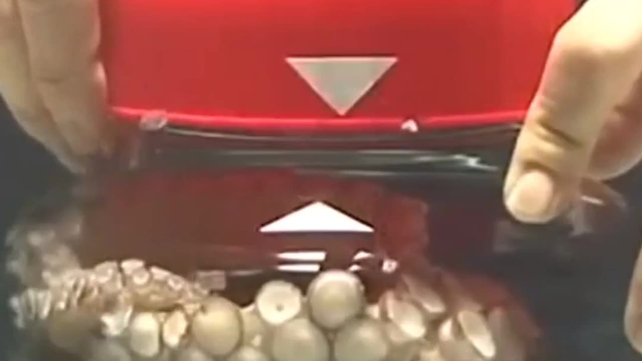This Octopus escapes a jar!!