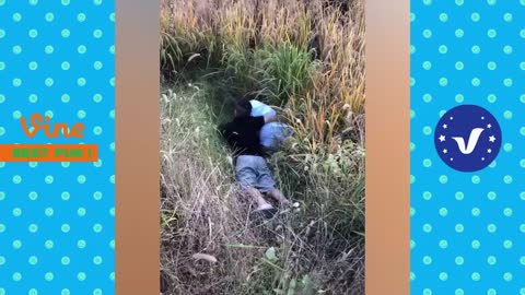 BEST FUNNY VIDEO ON 2022