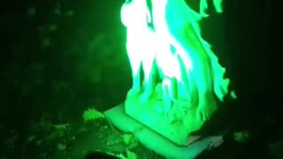 Green light against statue. I love the dog. Year 2, Part 15