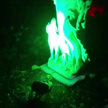 Green light against statue. I love the dog. Year 2, Part 15