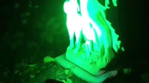 Green light against statue. I love the dog. Year 2, Part 15