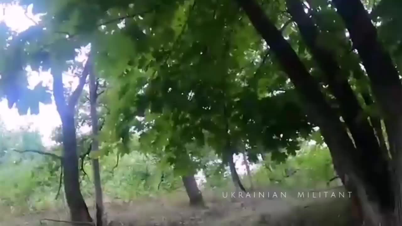 Incredible New Footage from Ukrainian Militant