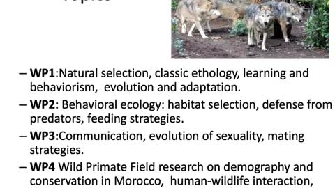 01 - Animal Behavior - Introduction 1-2