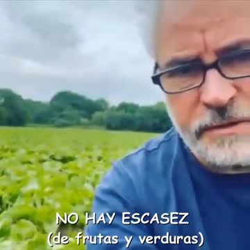 UK programmed food shortage?