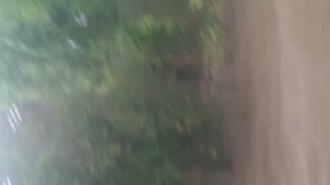 NATURE RAIN