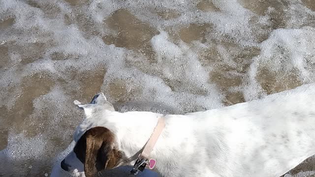 Katy at the beach