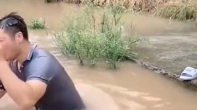 #funny #cute ❤ #dogs 🐶 and #cats 🐱 part 23