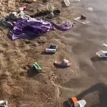 FFS, import the third world to Belgium 🇧🇪 and this is what you get.