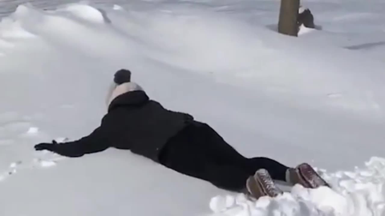 Crazy and Funny Videos!