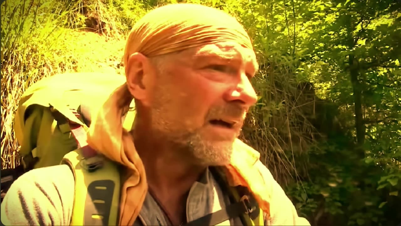 🌒CRITTER of the FOREST SHADOWS