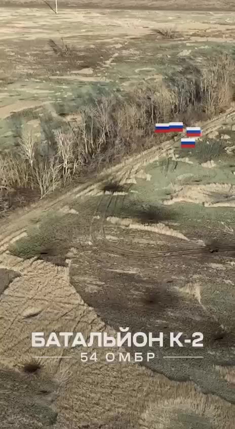 +18 Disturbing Video showing dead and wounded