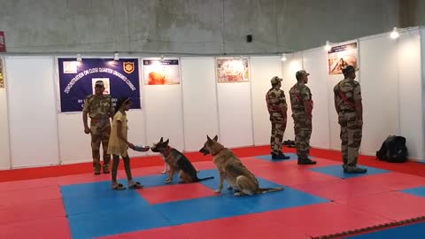 Army dog training