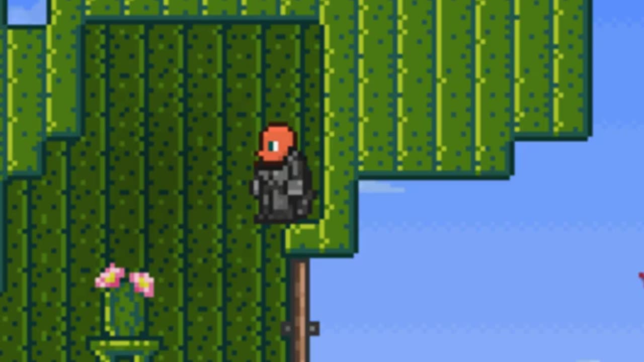 What Ever Happened to this Terraria NPC?