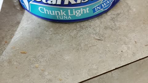 Eating Starkist Chunk Light Tuna, Dbn, MI, 10/4/23