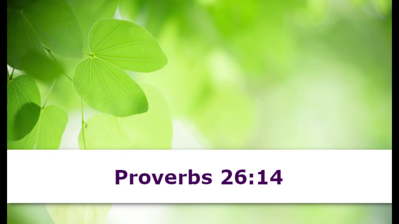 1 Minute -- Proverbs 26 Devotional -- May 26, 2023