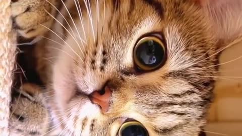 love is a good helper