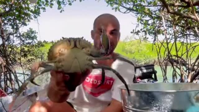 Catch & cook Mud Crabs 🦀