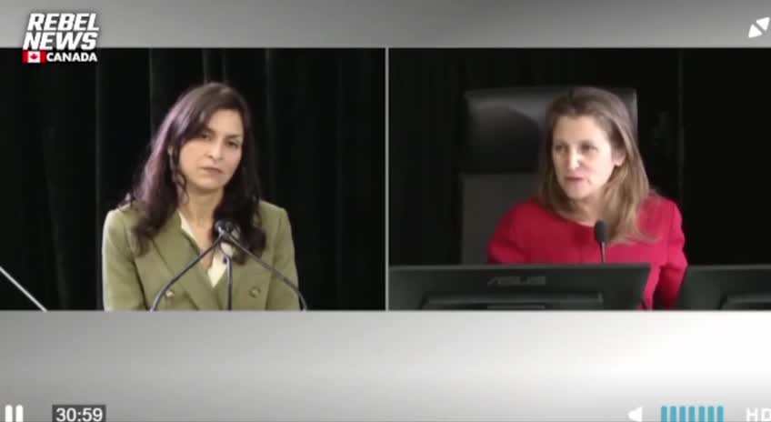 Canadian Bank CEO Told Chrystia Freeland Her Government is a “Banana Republic”