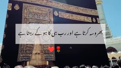 Advice for you must watch