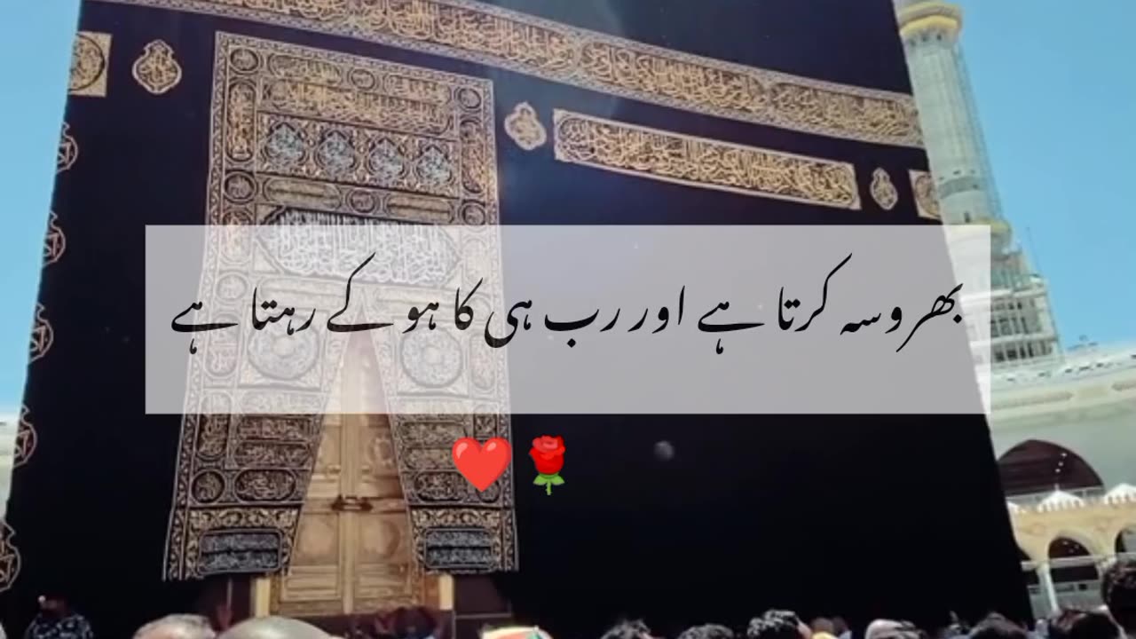 Advice for you must watch