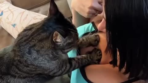 cat gives sensual massage