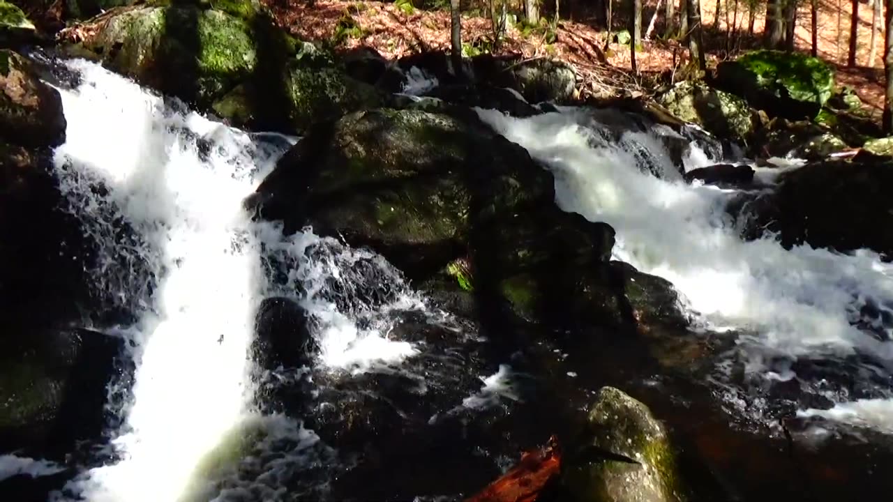 Cascades