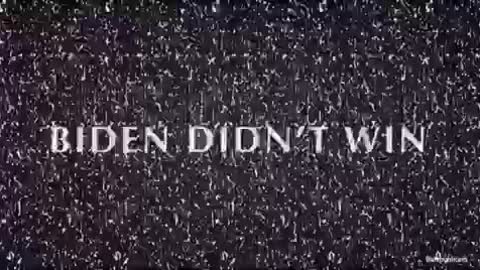 BIDEN DIDN’T WIN