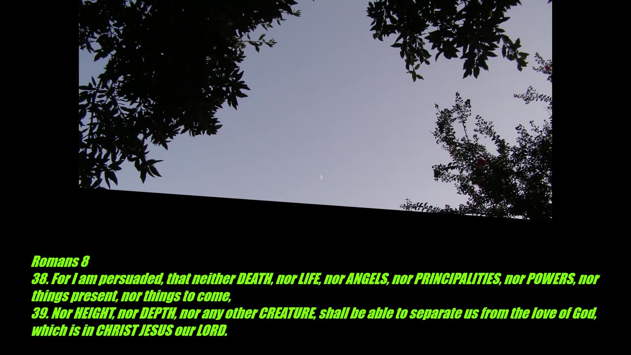 Romans 8