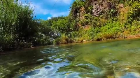 Beautiful natural under water view 😍