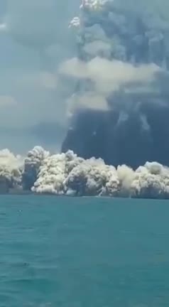 On the Hunga Tonga island Hunga Haapai, formed in early 2015 as a result of a volcanic eruption in