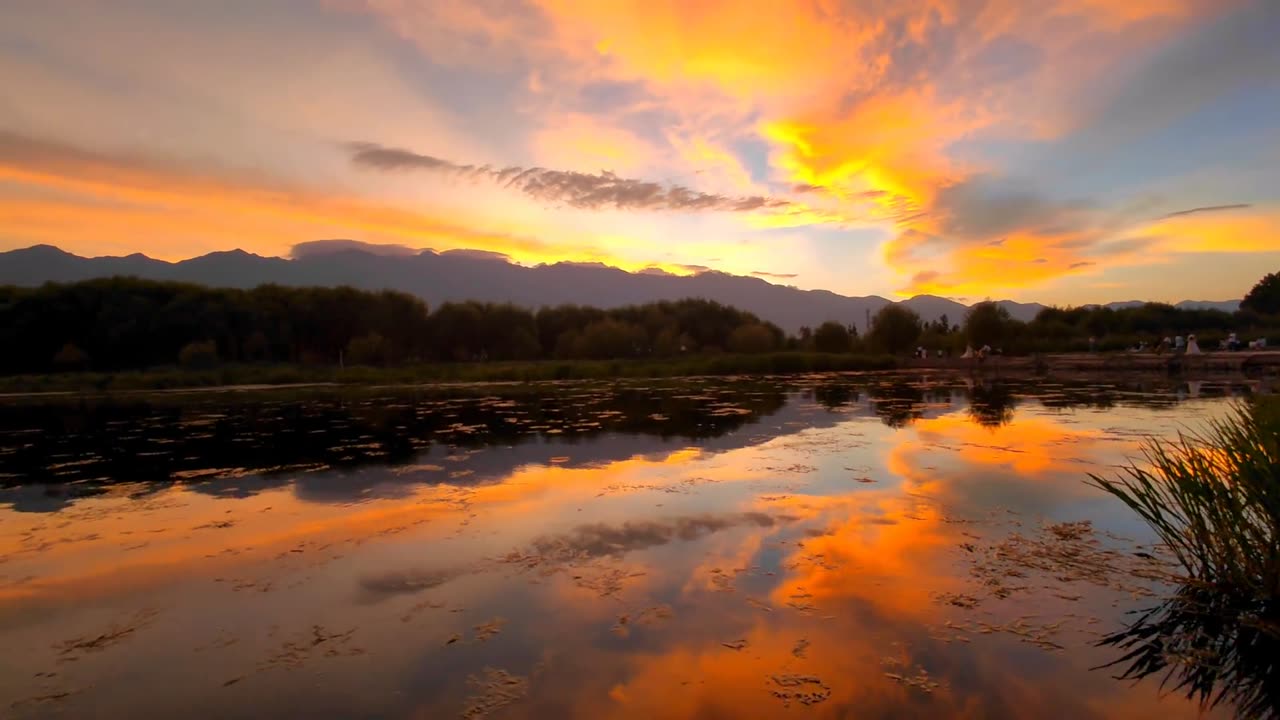 The evening sun is slightly drunk the whole sea